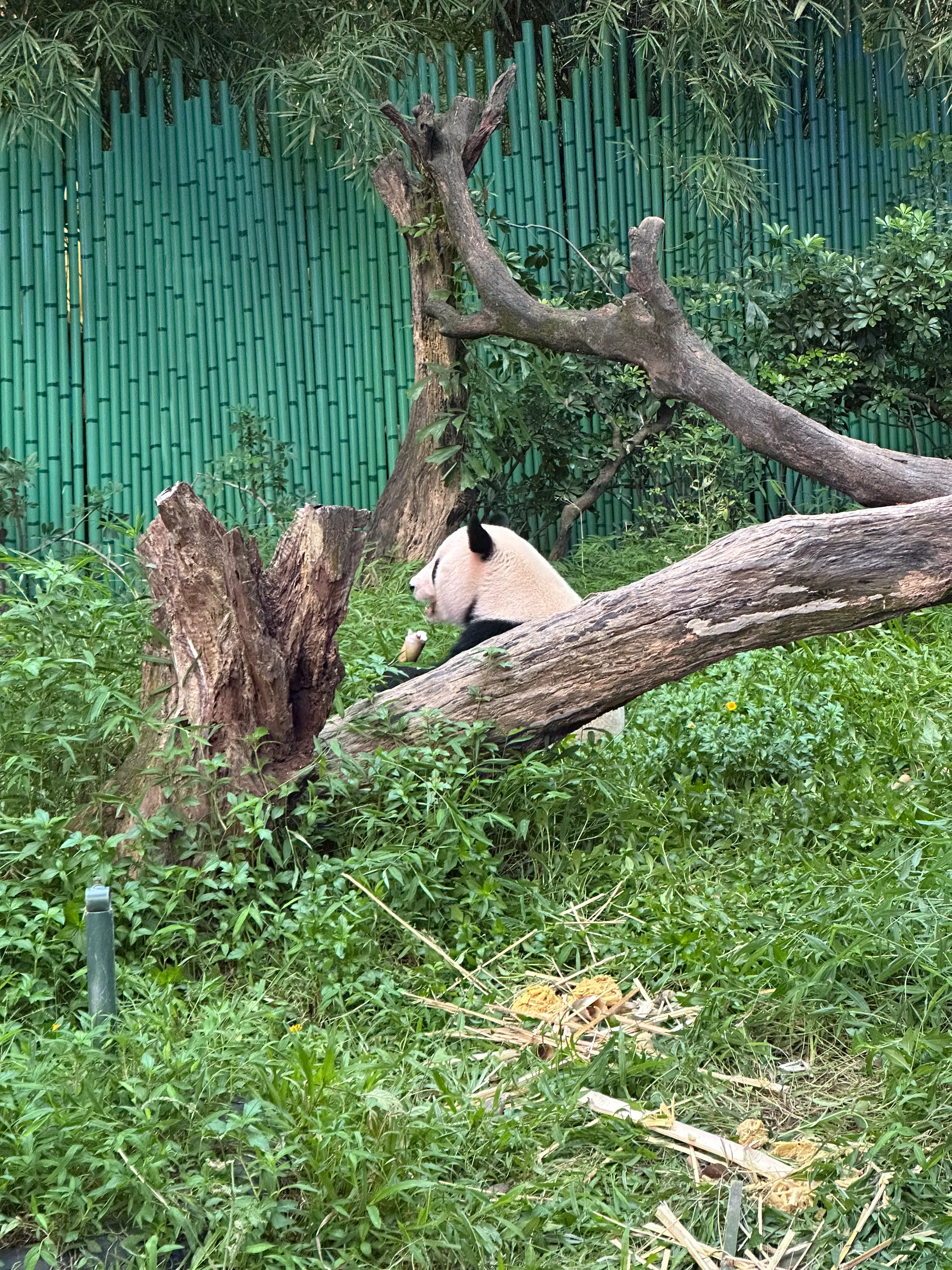 第一张Github图床